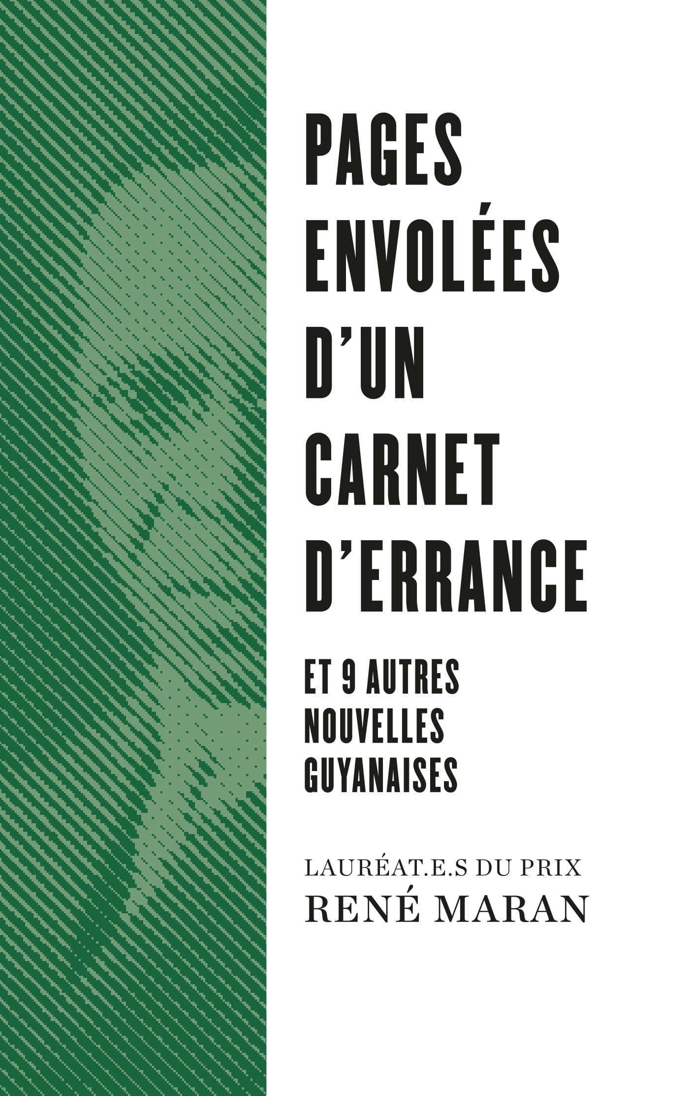 Pages envolees d'un carnet d'errance