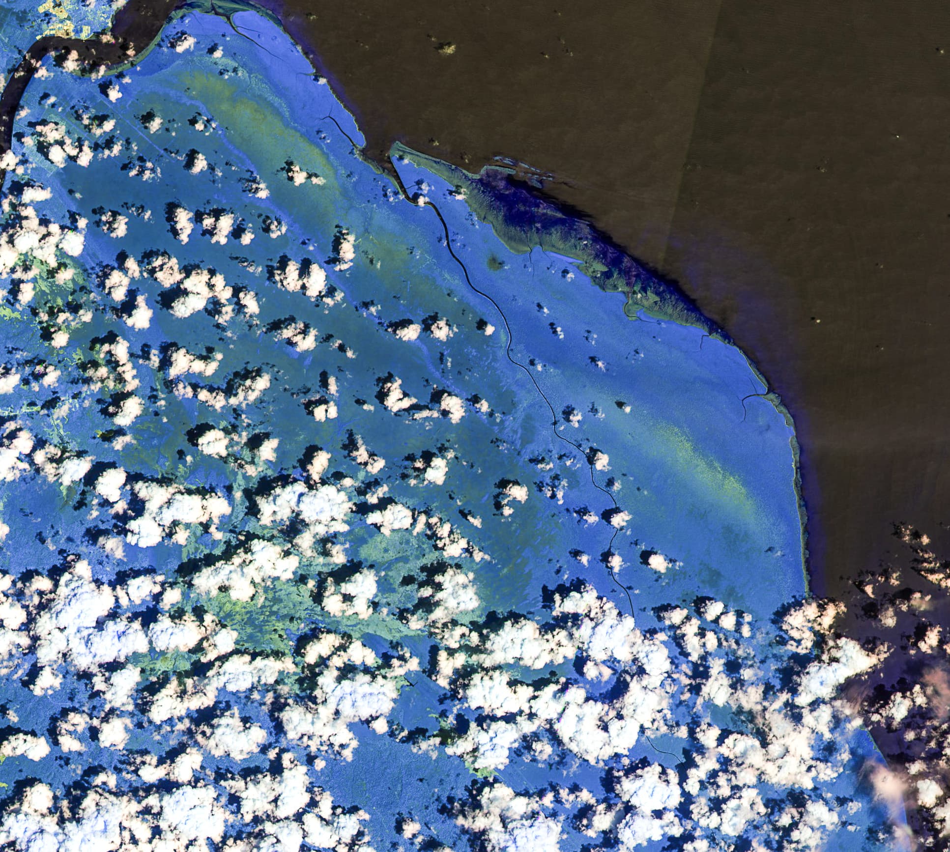 Imagerie satellitaire en fausses couleurs